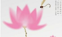 形容荷花品质的诗句