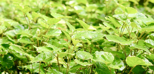 爱只是一种习惯，过去了，另一种习惯存在