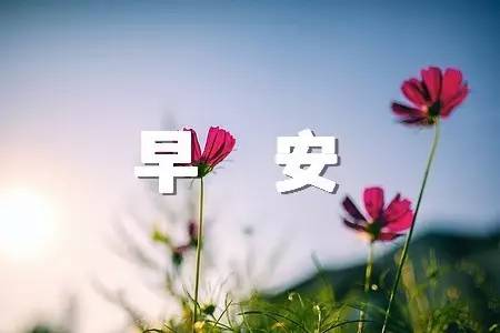 微信早安祝福