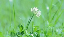 感悟人生奋斗的句子