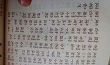 写小白兔的比喻句