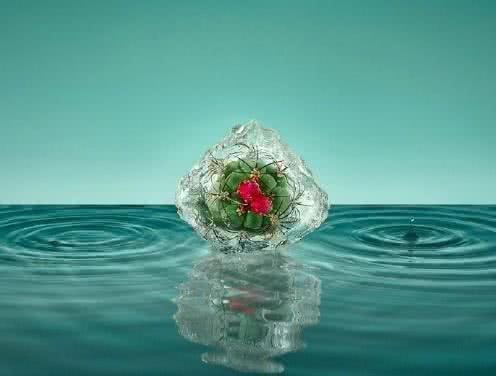 很短的句子根深蒂固