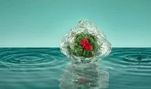 超短句子却深入人心