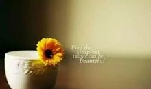 周末发朋友圈经典语录