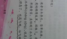 拟人句大全精选