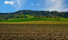 田园风光的比喻句