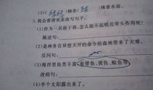 句子赏析拟人句