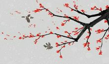 描写雪中梅花的诗句