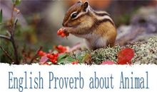 英语谚语关于动物