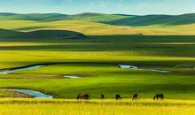 形容大草原的句子