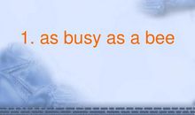 关于动物的英文谚语