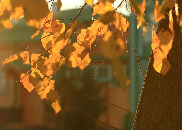 我在这里，你在另一边