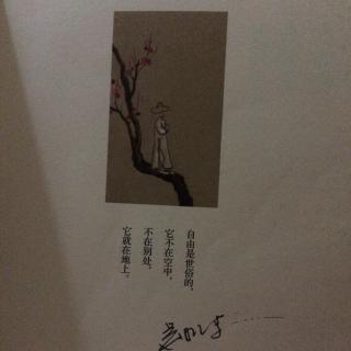 在美丽的事物上浪费生命经典句子