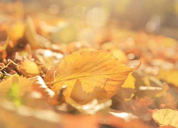 我在这边，你在另一边，互相看着对方，互相忘记1