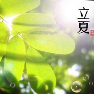 丽霞的祝福幼儿园