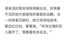 思念家乡的一段话