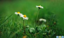 短信大全2020早安说说