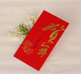 女同性恋的婚礼问候