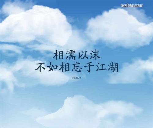 关于爱情的感言