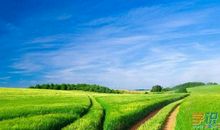 大自然有关的谚语