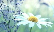 和媳妇在一起开心的句子 跟老婆在一起生活快乐的说说