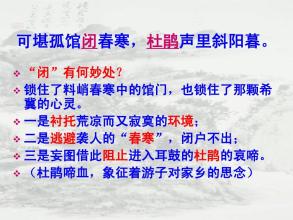 流浪故乡的句子