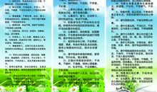 学校日常行为规范标语