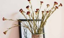 宝贝你要开心的句子 祝愿宝宝开心幸福的句子