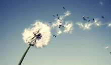 生活中的美说说心情