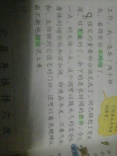 书中的拟人化句子