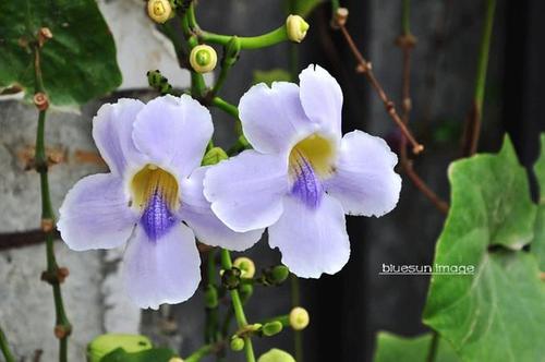 没有钱就不快乐，世界上所有的不幸都是因为没有钱