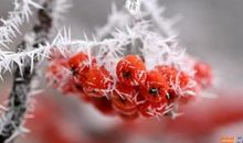 冬天微信祝福语大全