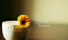 感人祝福语英文