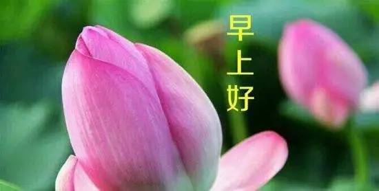 早上向领导人致以问候