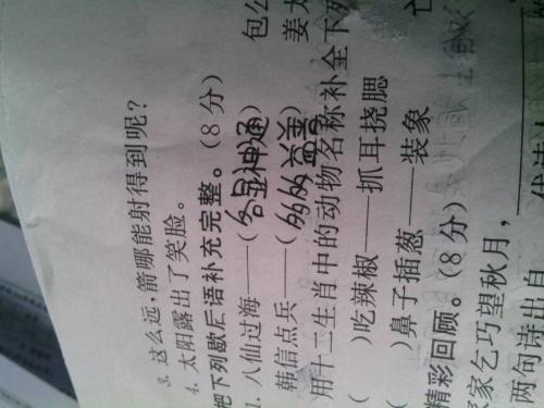 具有动物名字的寓言词