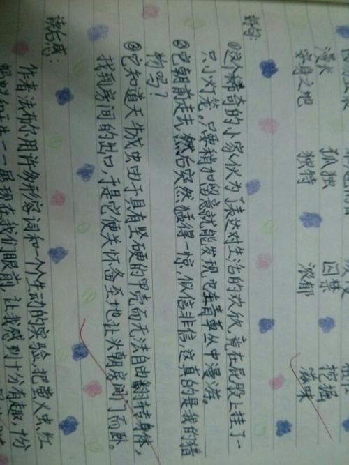 描述动物的好话和句子