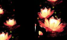 荷花灯点蜡歇后语