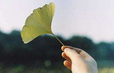 没有人真正渴望生活，却从不知道失落的滋味