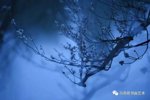 最短的艺术诗句