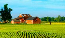 描写乡村宁静的句子