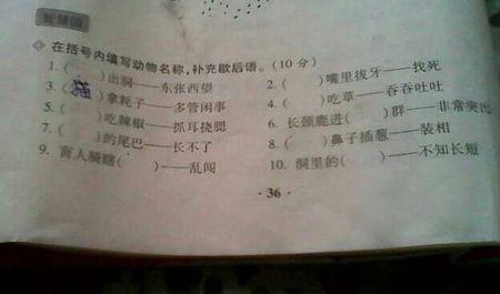 具有动物名字的寓言词