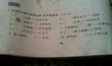 带动物名称的歇后语