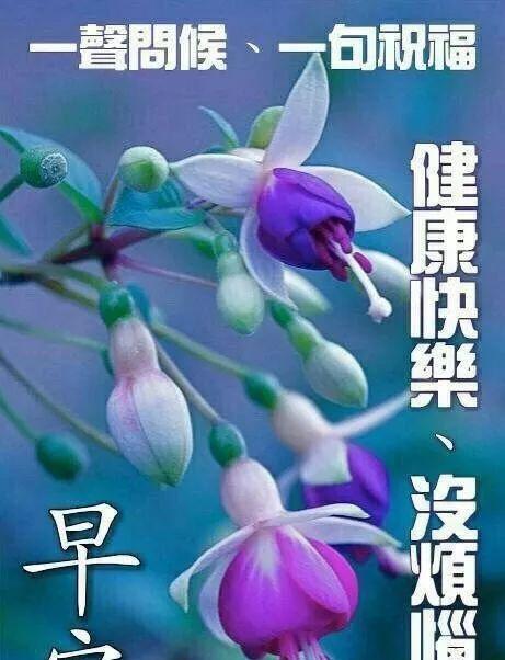 2020年最新周末短信祝