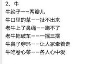 与生肖有关的谚语