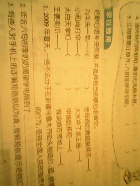 棕榈灯在光天化日之下