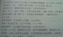 10个优美拟人句