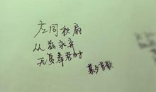 描写情感的诗句