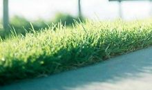 一句很有内涵的话