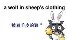 有关动物的英文谚语