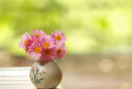 内心充沛，学会不耐烦或不耐烦，能够过上平淡的生活1